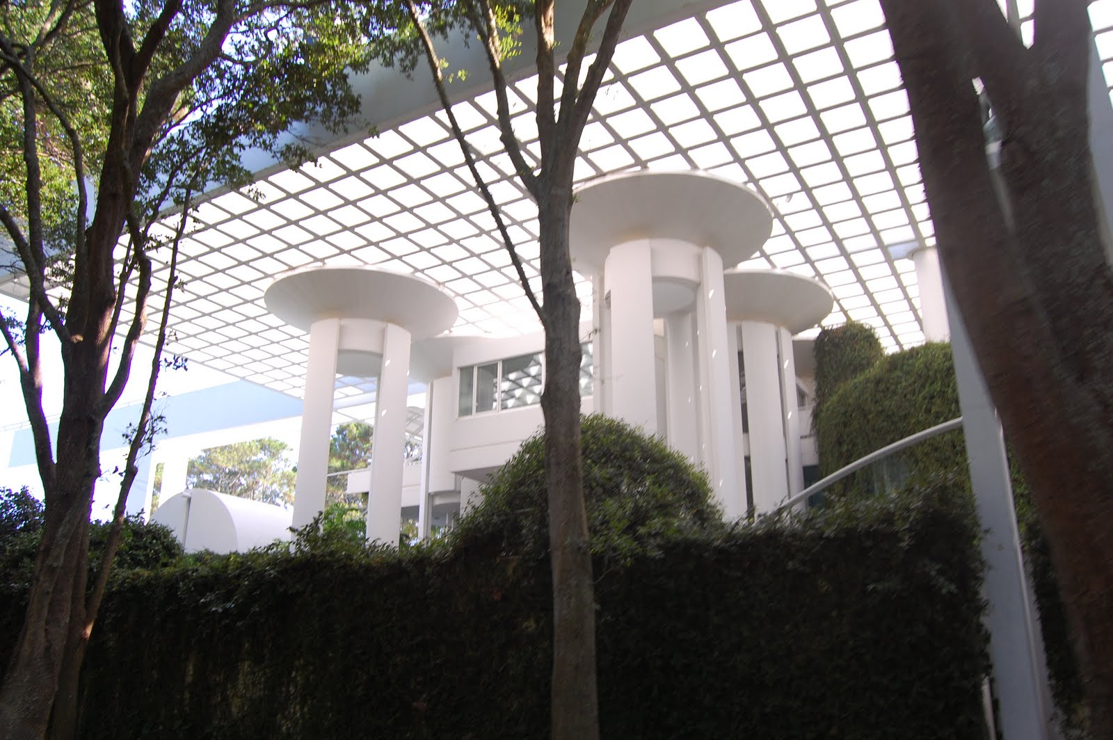 . Getaway to Sea Island, GA