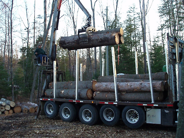 Loading trees to take to the mill.