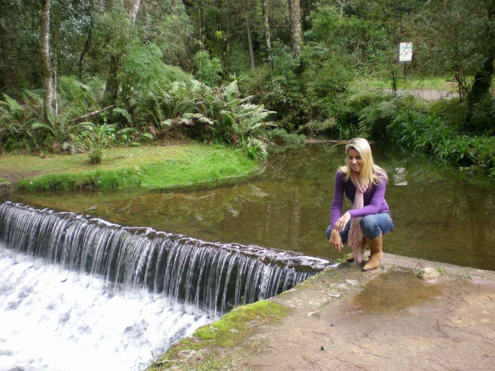 Flores & Jardins Cachoeiras