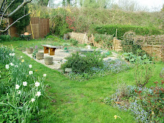 A small section of garden landscaped by ivs landscaping
