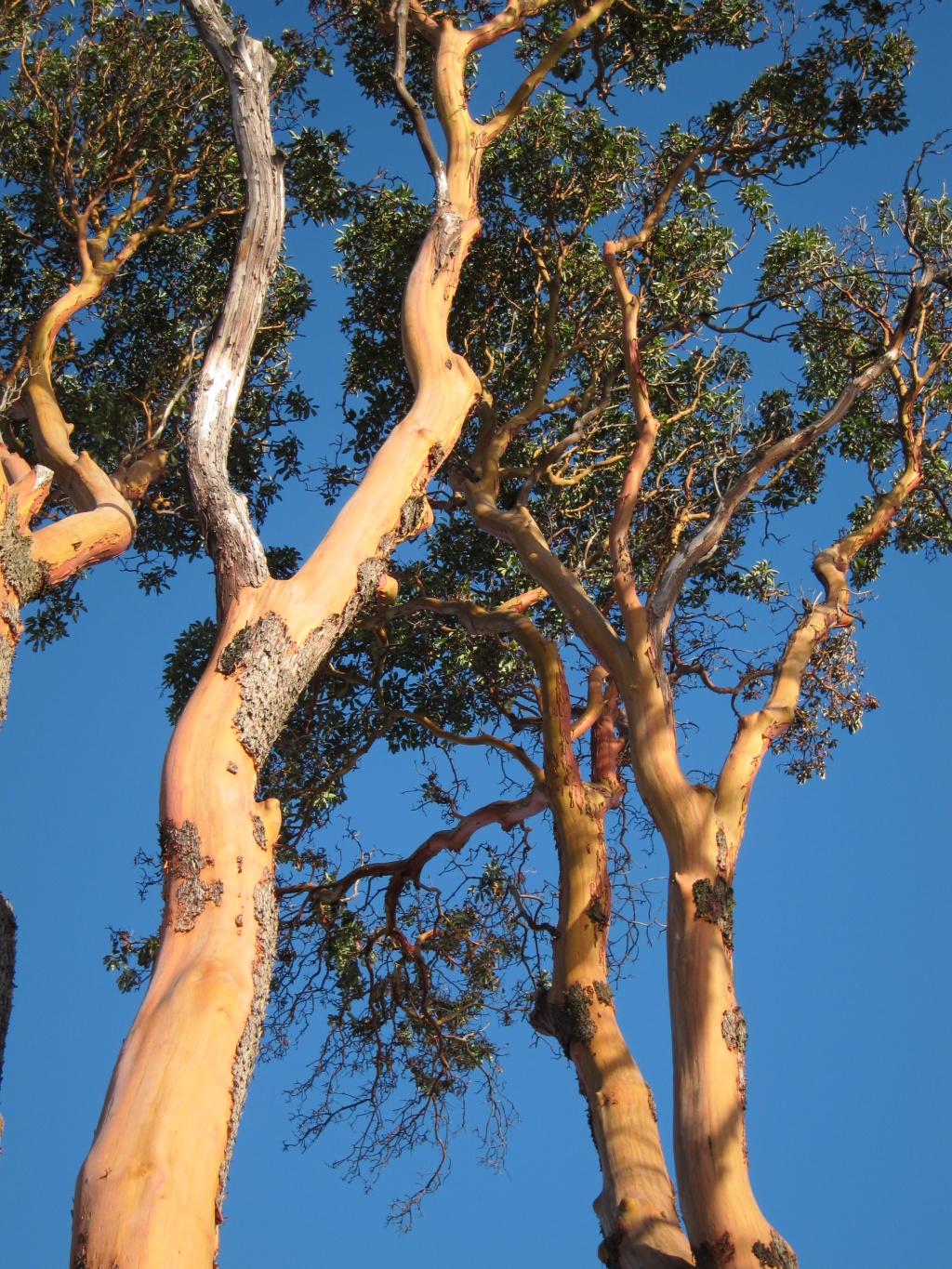 A & J's RETIREMENT ADVENTURE Comparison Living in BC vs Ontario