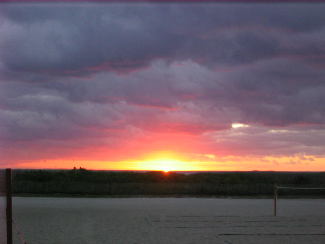 [IMG_3671.JPG]