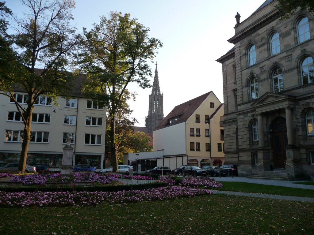 [P1110406.JPG]