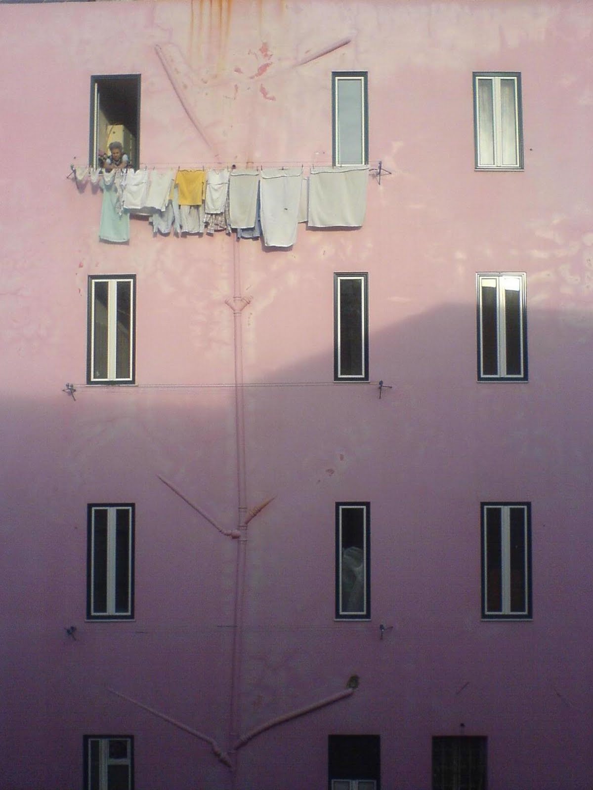[DSC05146.JPG]
