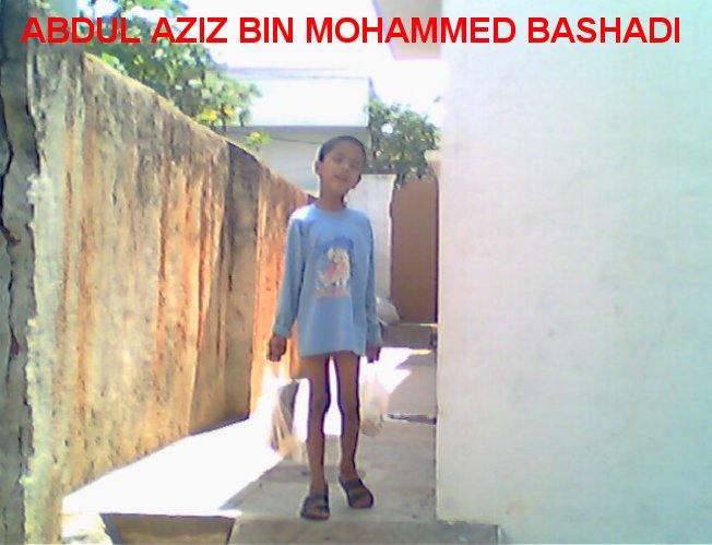 bashadi683