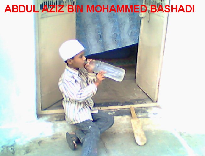 bashadi733