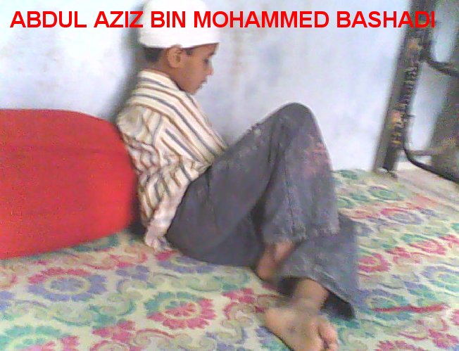 bashadi724