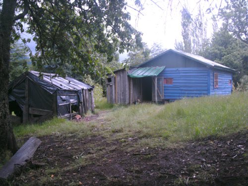 [ww_fuy_lower_01.JPG]