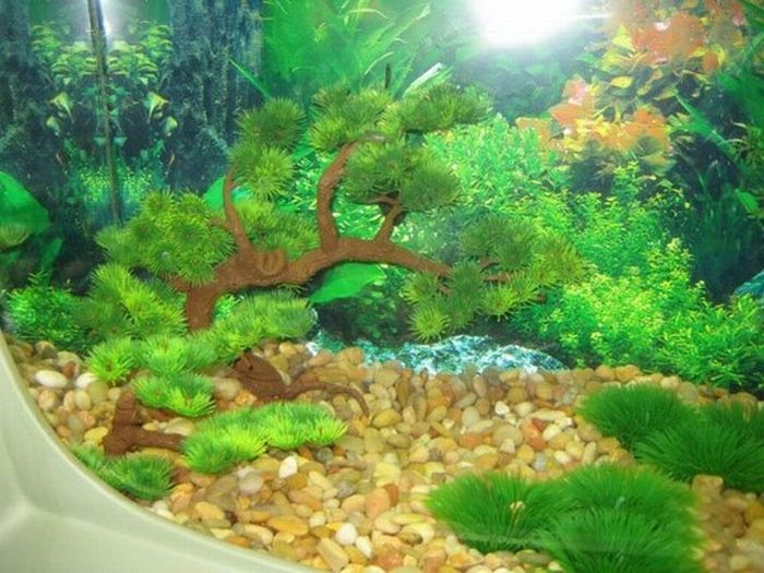 a fish tank made out of old tv