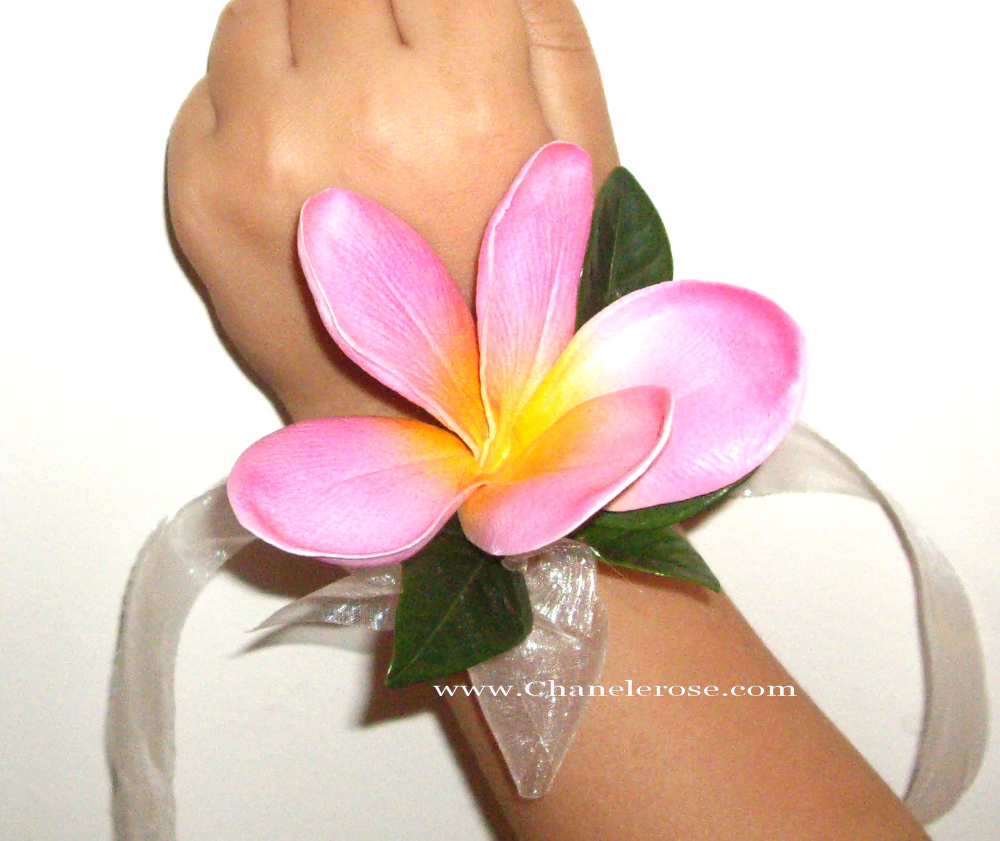 Chanele Rose Flowers Blog Sydney Wedding stylist & Florist Frangipani