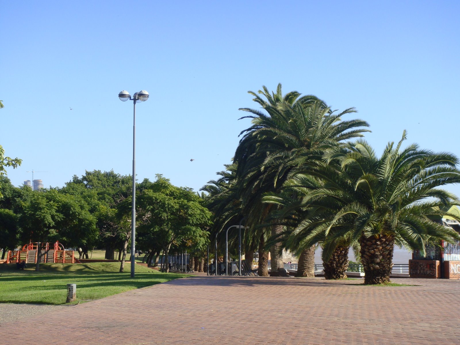 [DSC03902.JPG]