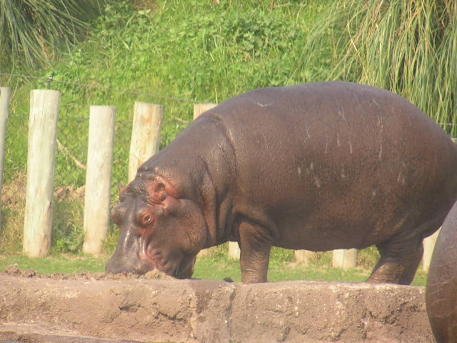 [P1010043.JPG]