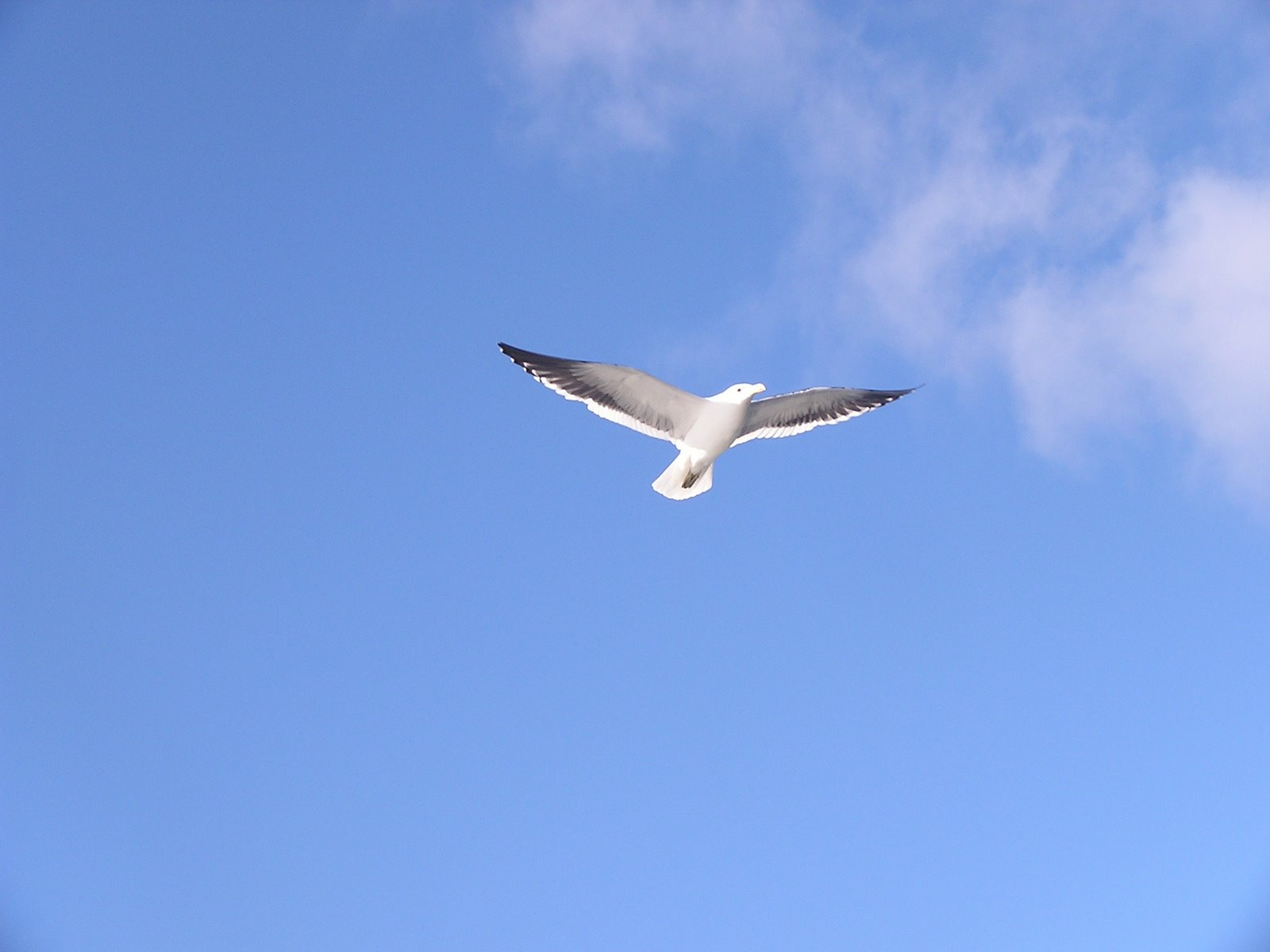 [P1010455.JPG]