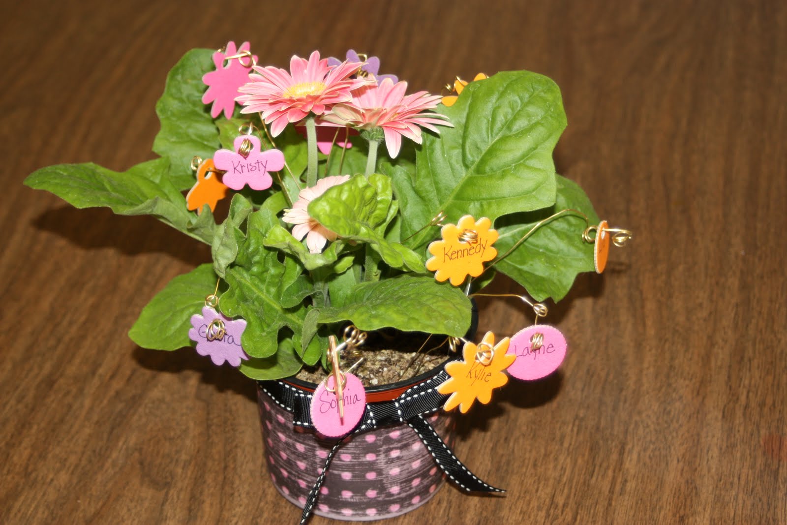 My Three Gs Girl Scout Leader Gift