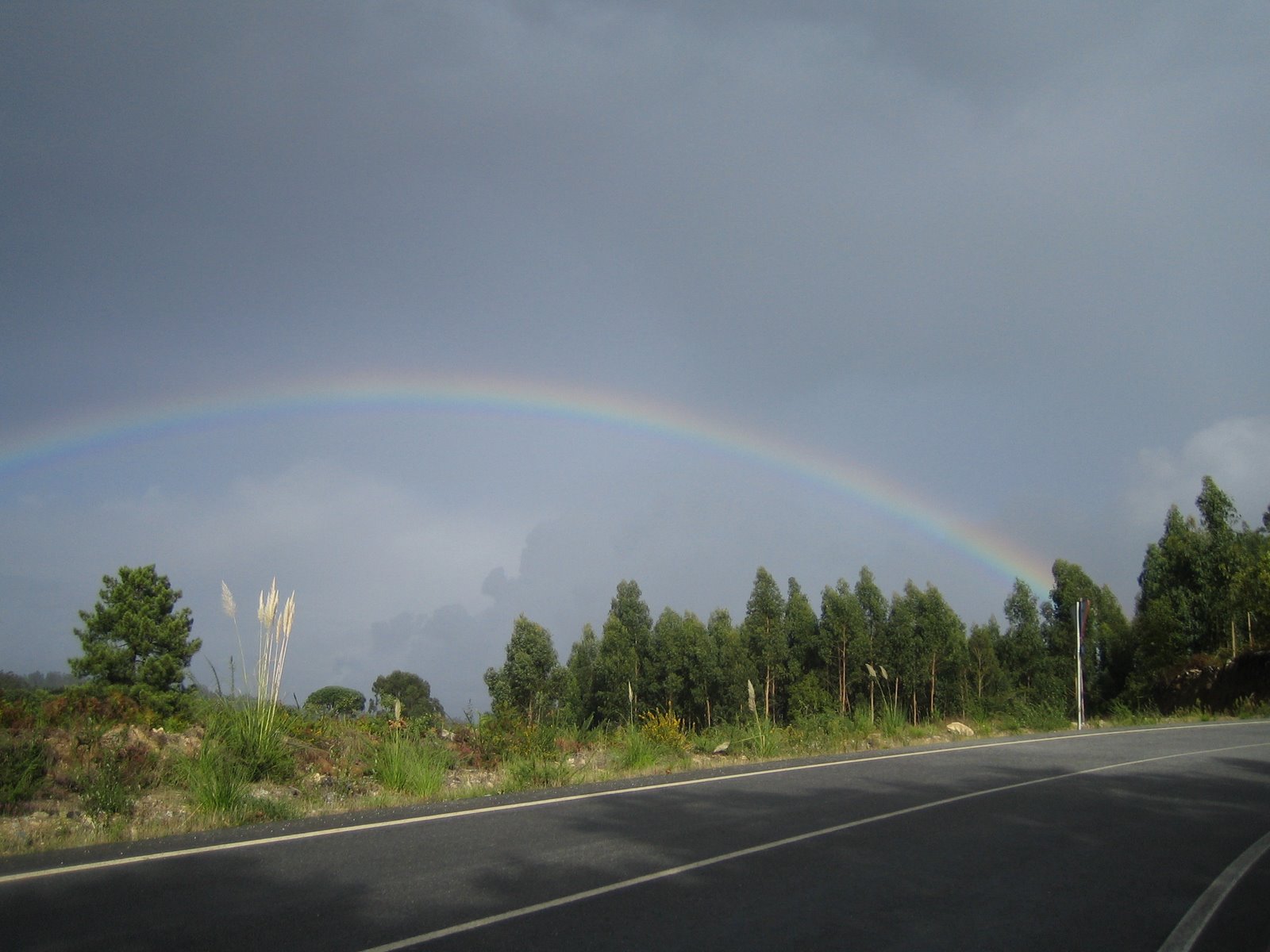 [IMG_0521.JPG]