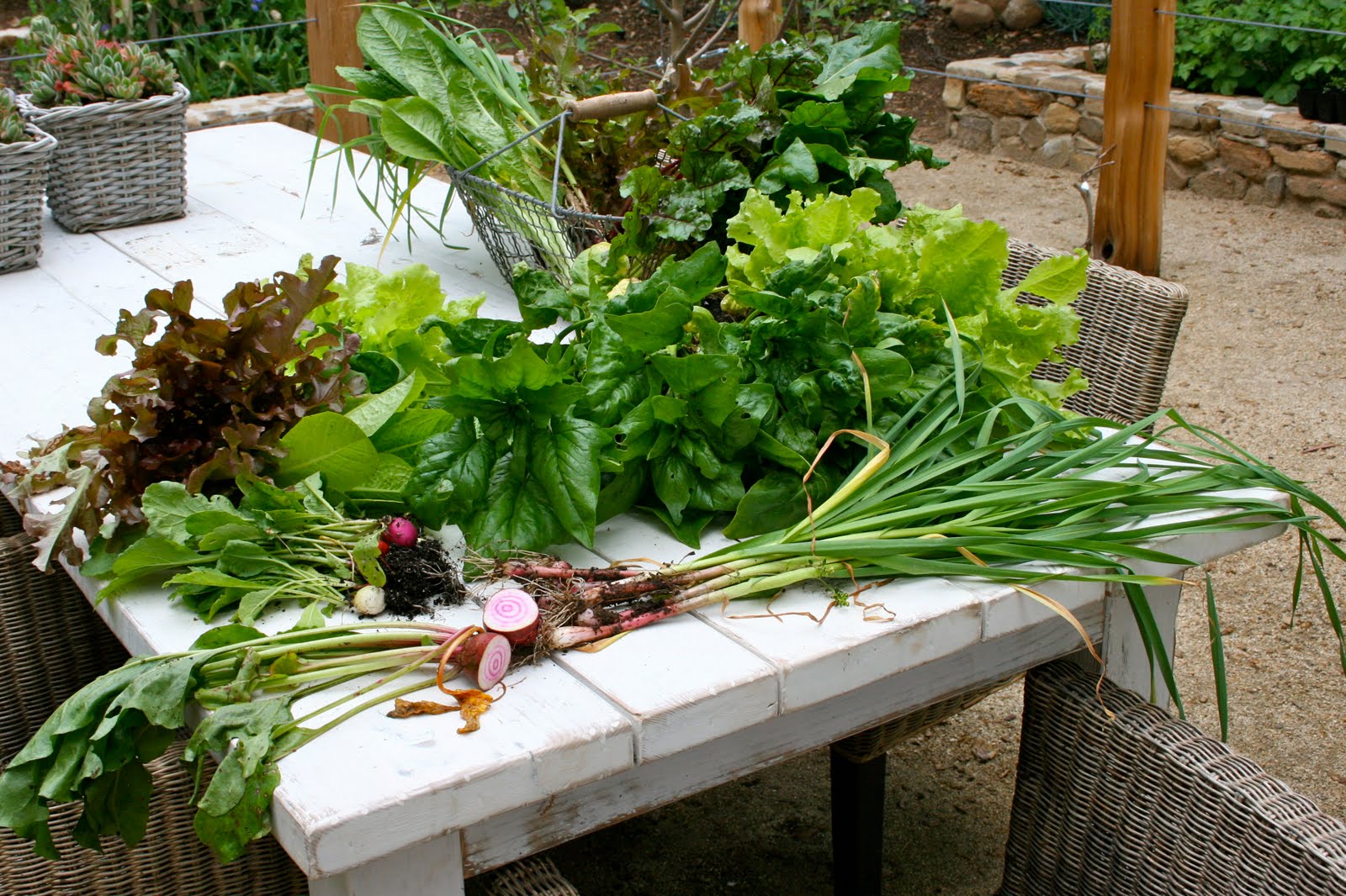 The Polished Pebble Organic Vegetable Garden Ojai