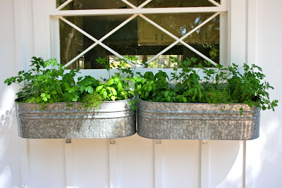 The Polished Pebble: Herb Garden Window Box
