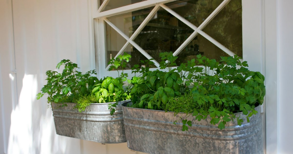 The Polished Pebble Herb Garden Window Box