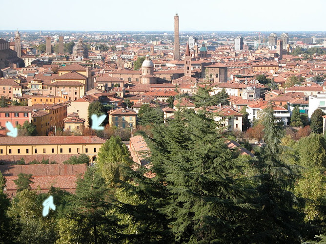 DISLOCAZIONE STAVECO IN BOLOGNA.