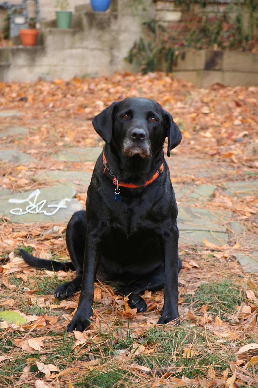 [Lense+Tests+016.JPG]