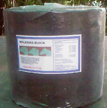 Blok Mineral Mollases