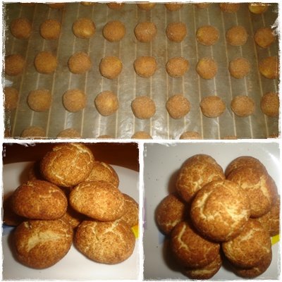 [biscoitos+de+canela+8.jpg]