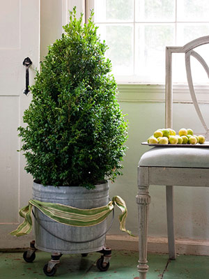 [tree_midwestliving.jpg]