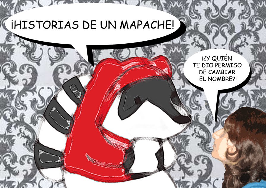 Historias de un mapache