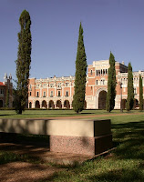 Tall skinny trees on Rice campus.