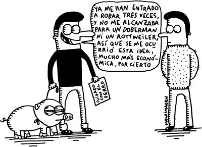 [influenzaporcina.jpg]