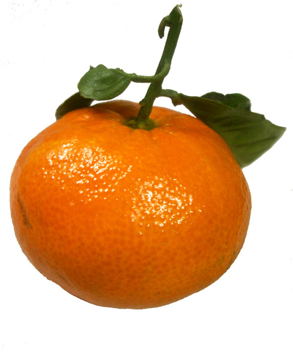Bilhete de Identidade da Fruta TANGERINE