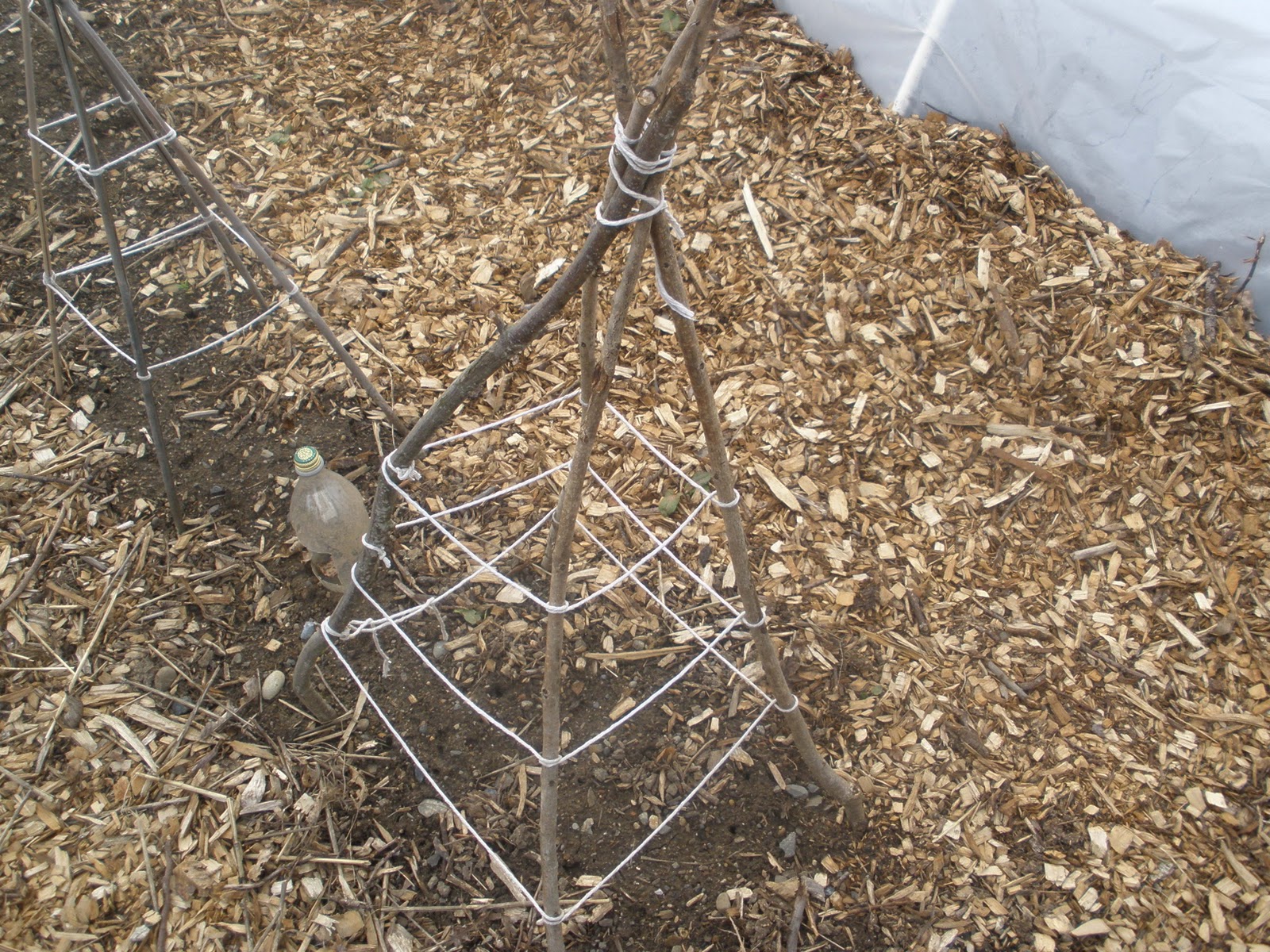 Projects: How to build a Bamboo teepee