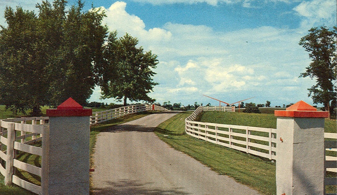 Vintage Travel Postcards Lexington, Kentucky