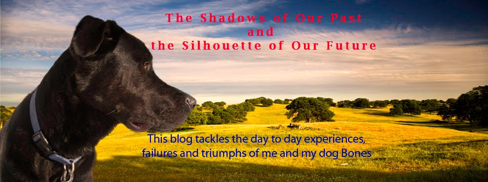 The Shadows of Our Past and the Silhouette of Our Future