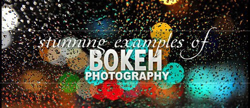 Stunning Examples of Bokeh Photography