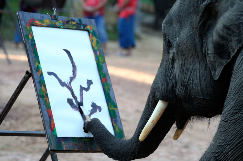 [Elephants+creativity+paintings+(1).jpg]