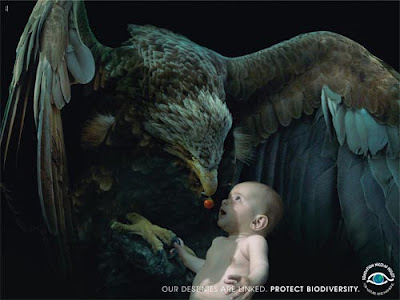 Astonishing Animal Advertisements Creating Awareness foundati Astonishing Animal Advertisements Creating Awareness