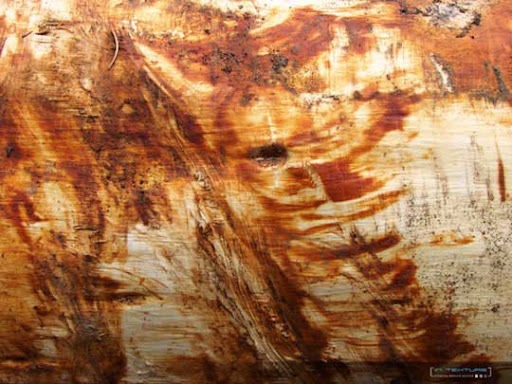 Free Rust Textures Every Designer Must Have Stock Photography Resource