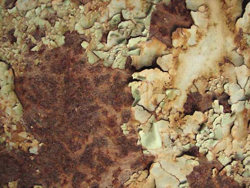 Free Rust Textures Every Designer Must Have Stock Photography Resource