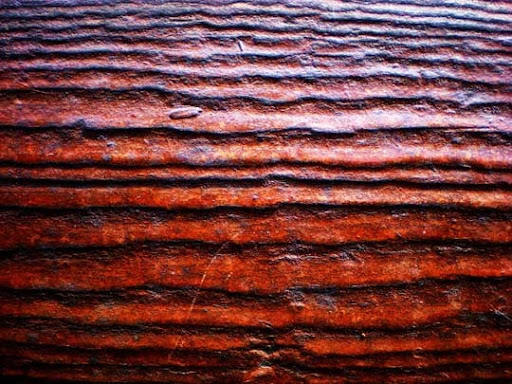 High Quality Free Wood texture download stock photos