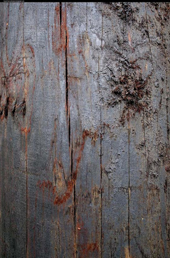 High Quality Free Wood texture download stock photos