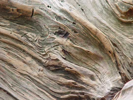 High Quality Free Wood texture download stock photos