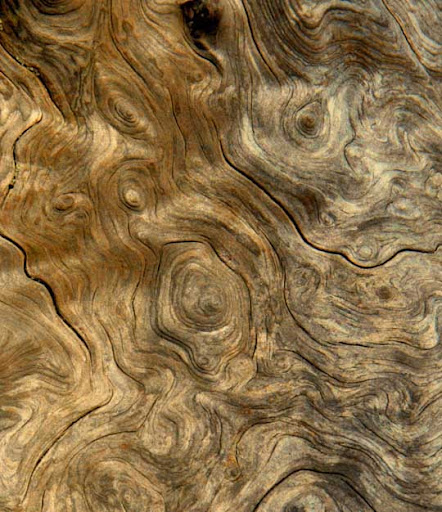 High Quality Free Wood texture download stock photos