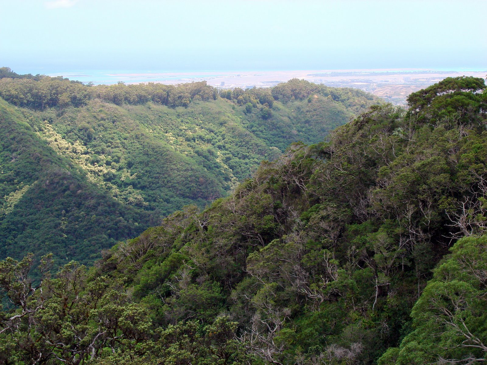 [DSC05205.JPG]