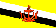 Brunei National Flag