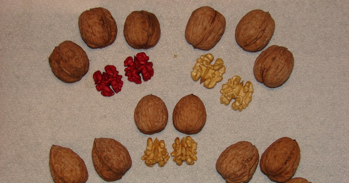 Neighbors Walnut varieties