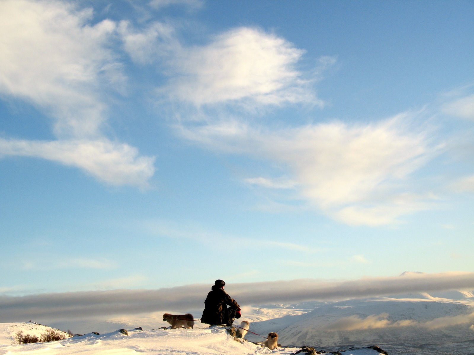 [IMG_0736.JPG]