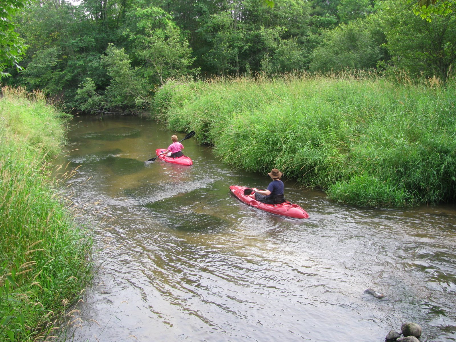 [IMG_7576.JPG]