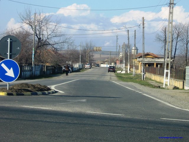 Comuna Rogova