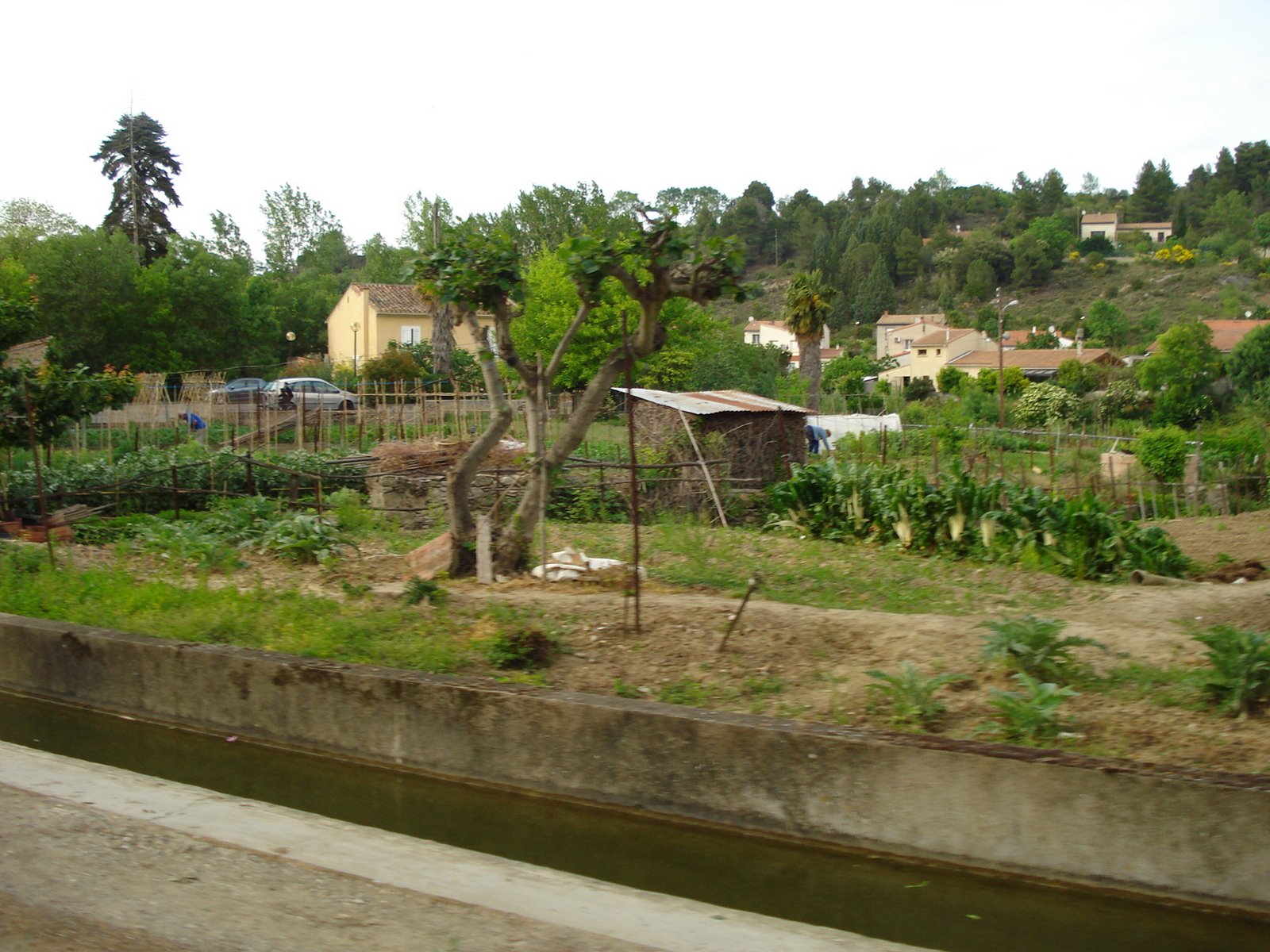 [DSC00849.JPG]